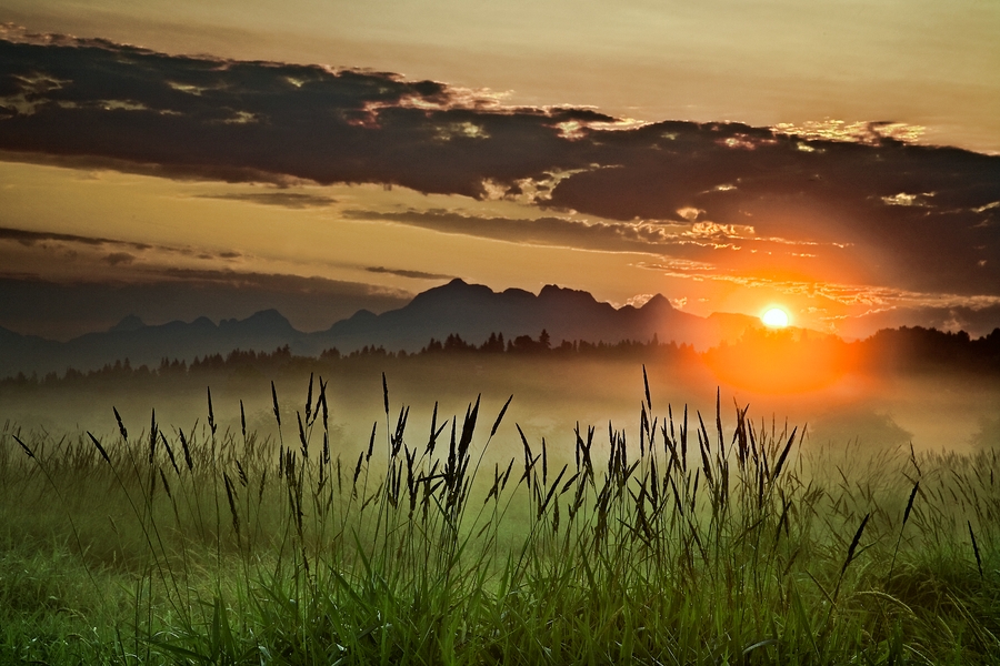 Misty Sunrise\n\nColony Farm, Port Coquitlam, British Columbia\n\n29 July, 2009
