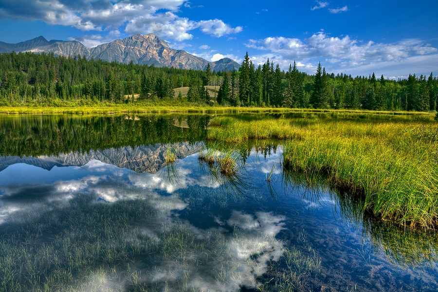 Marsh Reflections\n\nPyramid Mountain, Jasper National Park, Alberta\n\n25 August, 2009