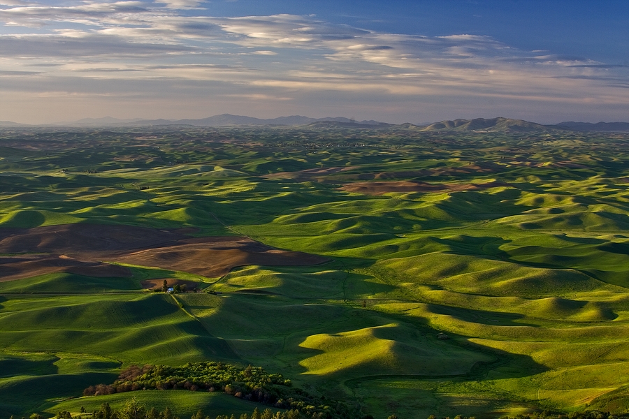 Evening Farmland\n\nSteptoe Butte, Near Colfax, Washington\n\n31 May, 2009