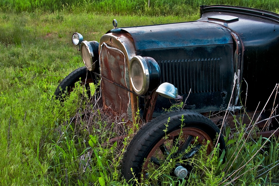 Out To Pasture\n\nPalouse, Washington\n\n2 June, 2009