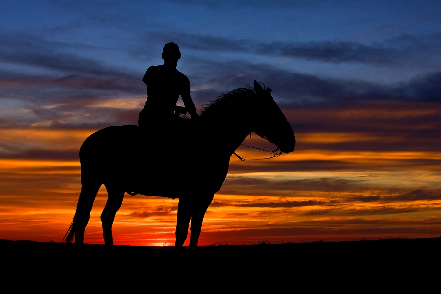 Night Rider\n\nPalouse, Washington\n\nJune 2, 2009