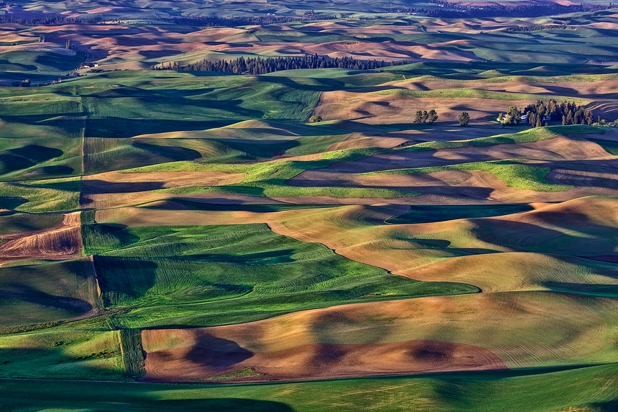 Evening Farmland\n\nSteptoe Butte, Near Colfax, Washington\n\n3 June, 2009