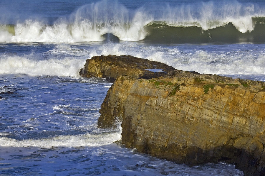 San Mateo Coast, Near Pescadero, California\n\n11 March, 2010