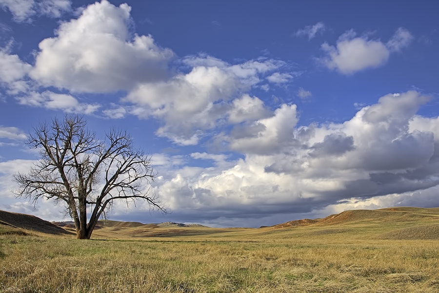 Prairie Grasslands, Windcave National Park, South Dakota\n\n15 April, 2010