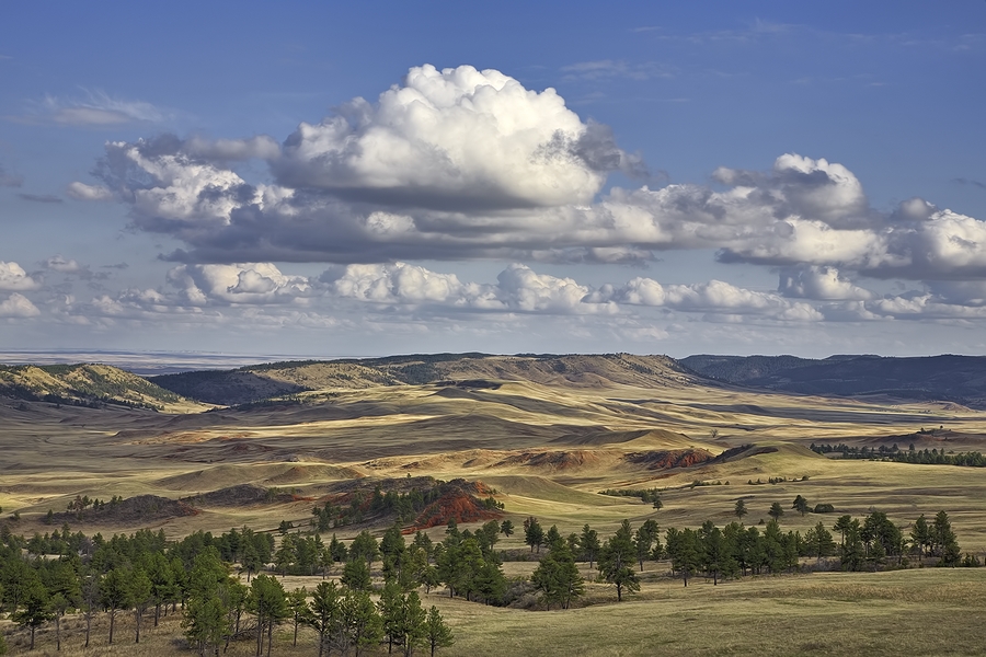 Prairie Grasslands, Windcave National Park, South Dakota\n\n15 April, 2010