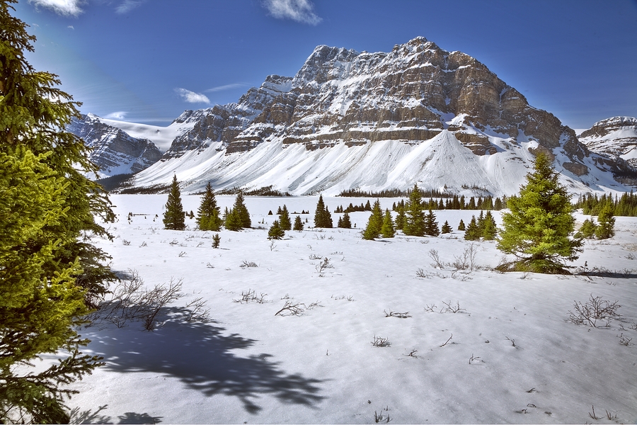 Crowfoot Mountain, Banff National Park, Alberta\n\n26 April, 2010
