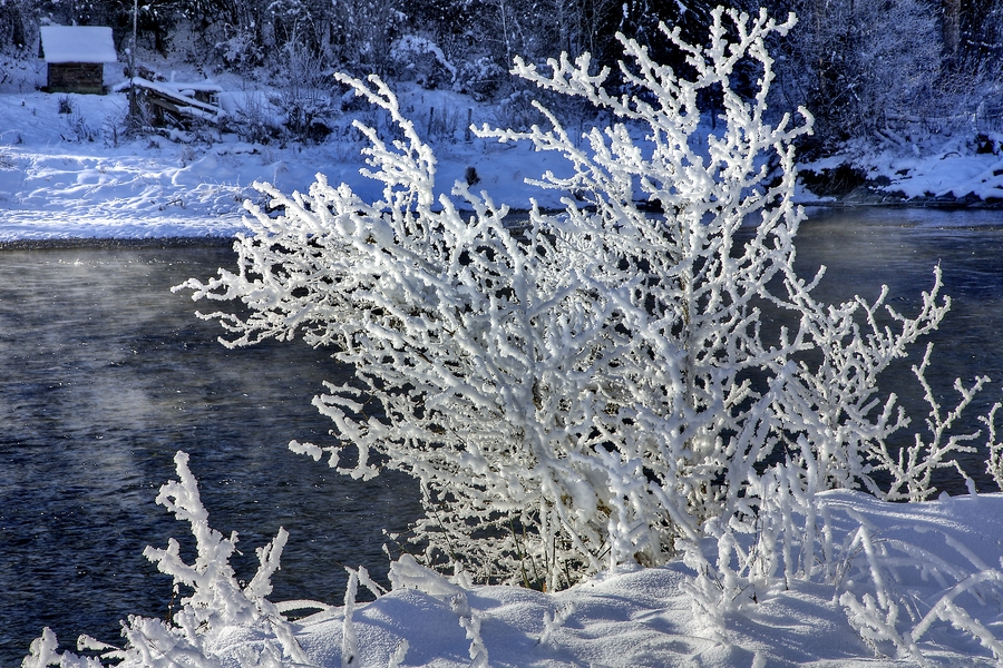 Winter Morning, Mabel Lake Road, Near Enderby, British Columbia\n\n5 December, 2010
