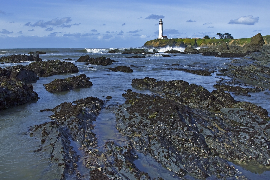 Pigeon Point Light Station, San Mateo Coast, Near Pescadero, California\n\n9 March, 2010