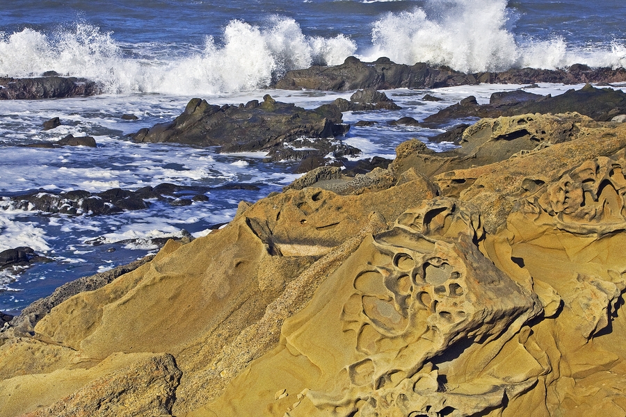 Tide Pools, San Mateo Coast, Near Pescadero, California\n\n10 March, 2010