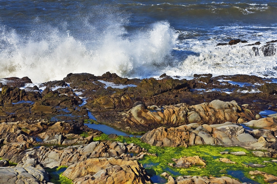 Tide Pools, San Mateo Coast, Near Pescadero, California\n\n10 March, 2010