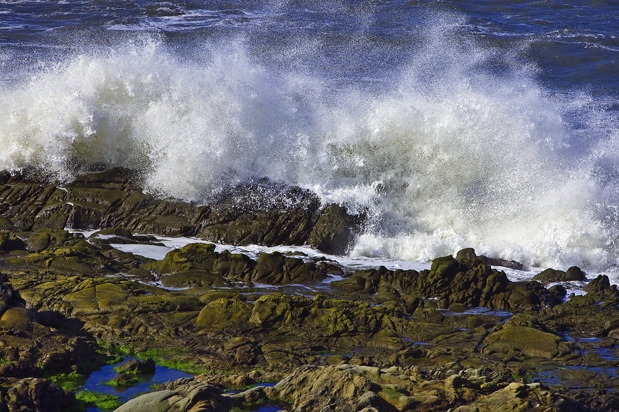 Tide Pools, San Mateo Coast, Near Pescadero, California\n\n10 March, 2010
