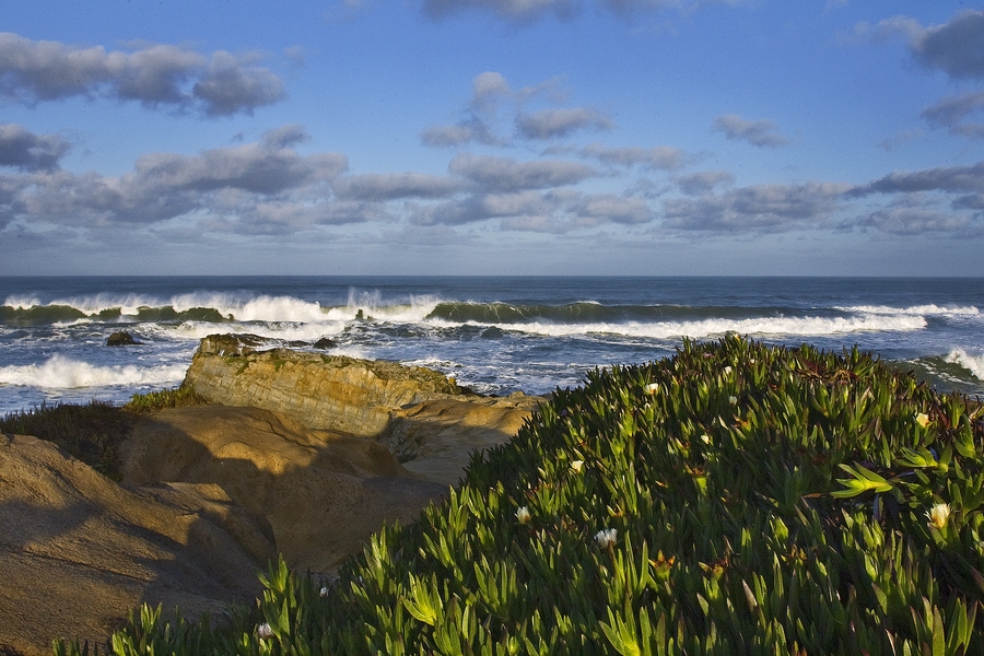 San Mateo Coast, Near Pescadero, California\n\n11 March, 2010