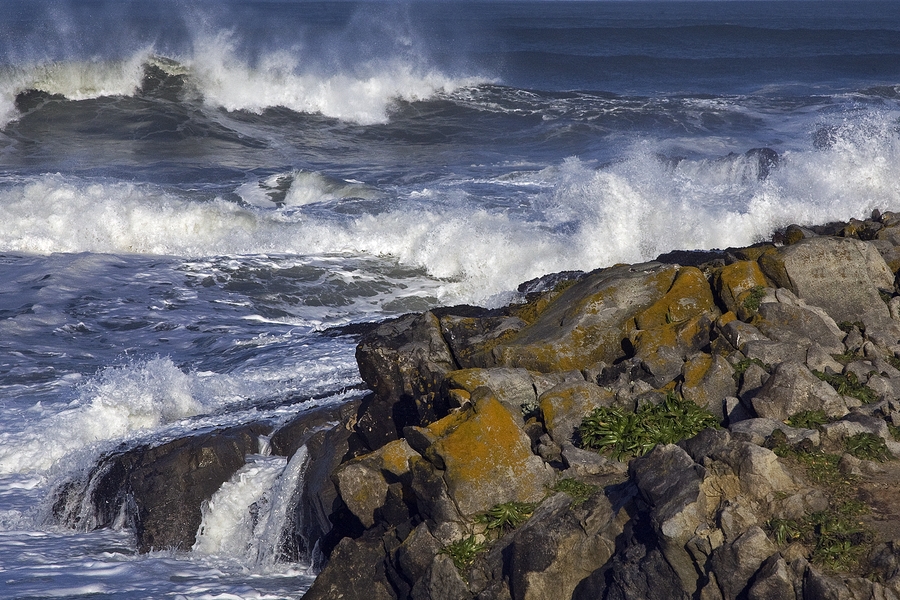 San Mateo Coast, Near Pescadero, California\n\n11 March, 2010