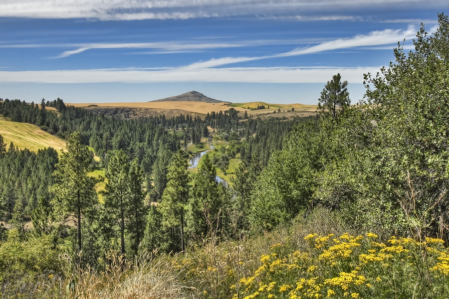 Oral Smith Road, Near Elberton, Washington\n\n27 July, 2013