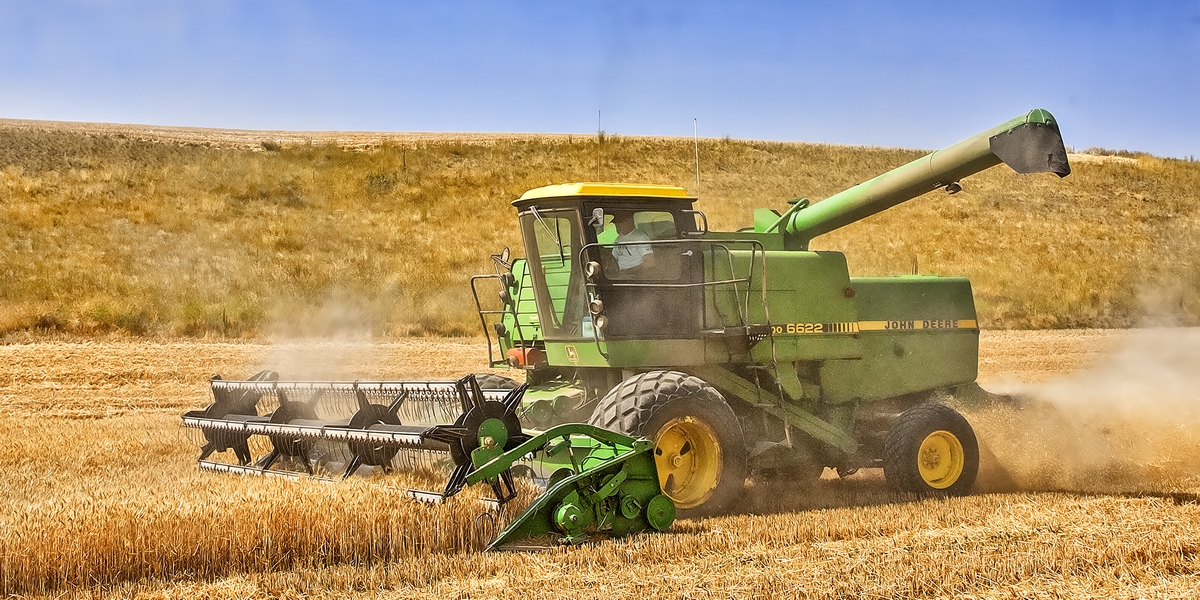 Repp Road, Near Dusty, Washington\n\n29 July, 2013