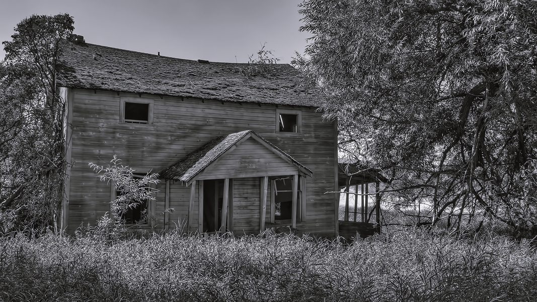 Mack Lloyd Road, Near Diamond, Washington\n\n29 July, 2013