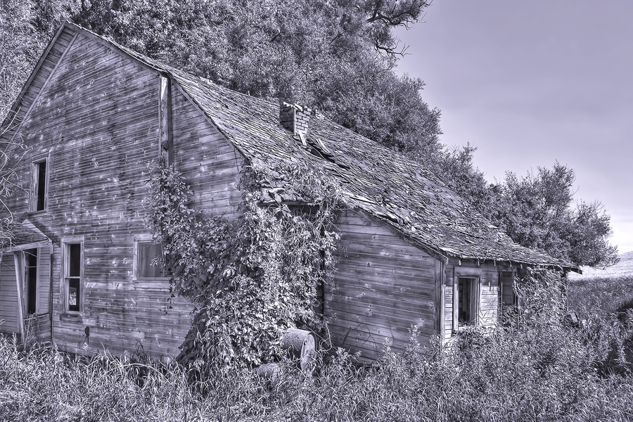 Mack Lloyd Road, Near Diamond, Washington\n\n29 July, 2013