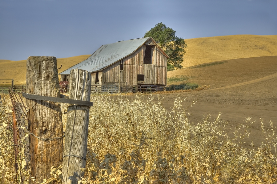 Huntley Road, Near Diamond, Washington\n\n29 July, 2013