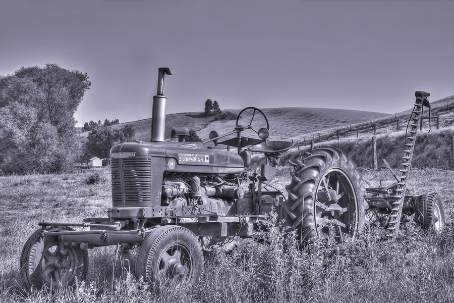 McNeilly Road, Near Diamond, Washington\n\n29 July, 2013